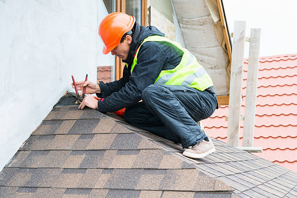 Best Roof Gutter Cleaning  in Wisr, NE